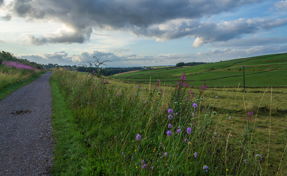 High Peak Trail